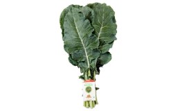 Are broccoli leaves edible?