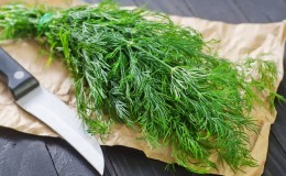 Health benefits of dill and what to eat in it