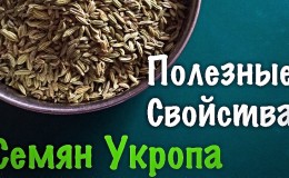 How to properly brew and take dill seeds for coughs for children and adults