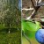 Step-by-step instructions for pruning a plum tree in the summer with your own hands