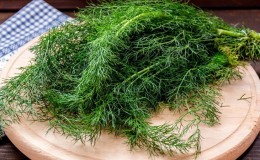 How many calories are in 100 grams of dill?