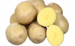 Mid-early potato variety Breeze from Belarusian breeders