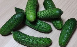 The best varieties of cucumbers for growing in Siberia in a greenhouse and open ground