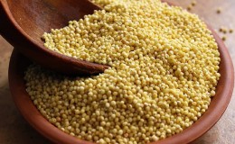 What is the difference between millet and millet