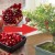 How and what to feed pomegranate at home