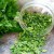 The best recommendations on how to prepare parsley for the winter and preserve the aroma