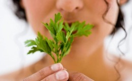Is it possible to eat parsley while breastfeeding?