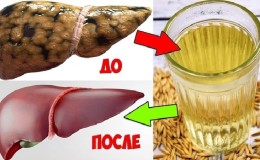 The best recipes for cleaning the liver with oats at home