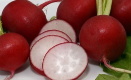 What family does radish belong to, its characteristics and description