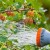 How much and how often to water gooseberries and currants in summer