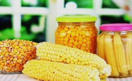 How to preserve corn on the cob for the winter at home: the best preservation recipes and the freezing method