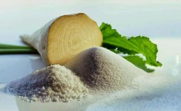 What is sugar beet: the full path from sowing the vegetable to the resulting sugar on our table