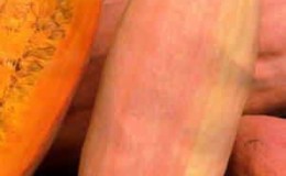 An exotic vegetable with an unusual taste and name - Pink banana pumpkin: description of the variety