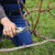 When and how to prune grapes correctly in spring for beginners step by step: instructions and diagrams