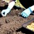 How to plant onions for the winter and at what depth?