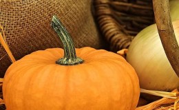 How to store pumpkin in the cellar for the winter: create favorable conditions to avoid spoilage of the vegetable