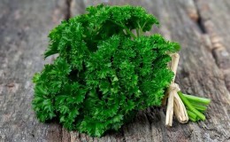 What is the name of curly parsley?