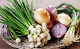 What types of onions are there, their characteristics, and which variety is best suited for long-term storage