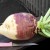 Unusual and very tasty rutabaga recipes from experienced housewives