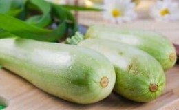Is it possible to eat raw zucchini: benefits and harm to the body, as well as recipes for dishes based on fresh vegetables