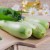 Is it possible to eat raw zucchini: benefits and harm to the body, as well as recipes for dishes based on fresh vegetables