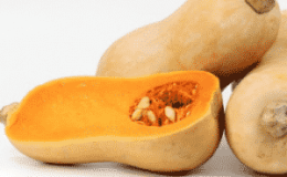 Dutch early maturing pumpkin hybrid Matilda: we grow up to 15 kg of fruit per square meter