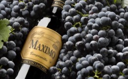 Famous low-calorie grape variety Tempranillo