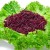 We fight extra pounds easily and simply by using boiled beets for weight loss