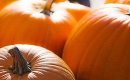 How to store pumpkin correctly: different methods and secrets of creating optimal conditions for preserving the vegetable