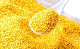 Composition and beneficial properties of millet (millet)