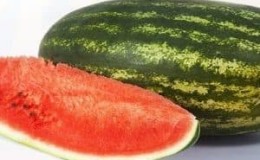 Early ripe hybrid watermelon Ataman with giant fruits and unique taste