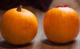 What is good about the Orange Bush pumpkin and why you should try growing it on your own plot