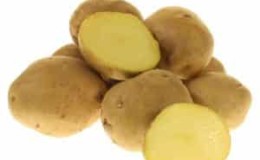 Mid-season, high-yielding potato variety Lugovskoy, ideal for mashed potatoes