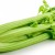 Celery stalk - how to eat it correctly