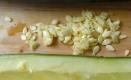 The benefits and harms of zucchini seeds: we use the product according to all the rules so as not to harm our health