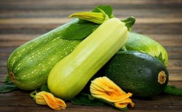 How do zucchini and zucchini differ in appearance, taste and other properties: let’s look at it in detail and no longer confuse it