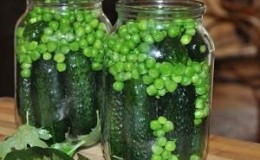 We preserve the taste and beneficial properties all year round: pea pods - recipes for the winter from experienced housewives