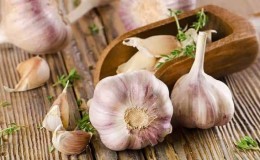 We treat garlic diseases ourselves and get rid of pests: effective methods and preventive measures