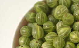 How many calories are royal berries and is it possible to eat gooseberries while losing weight?