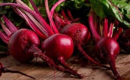 Which beets are healthier, raw or boiled: compare composition and medicinal properties
