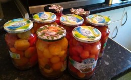 How to cook delicious pickled cherry tomatoes: the best recipes and recommendations from experienced housewives