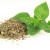 How to properly prepare basil for the winter at home in different ways