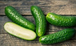 A gift from German breeders - Libella cucumbers (Libelle)
