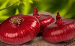The benefits and harms of Crimean onions for the human body