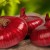 The benefits and harms of Crimean onions for the human body