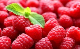 How to dry raspberry berries and leaves at home