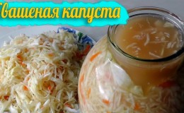 A selection of the best recipes for sauerkraut in its own juice