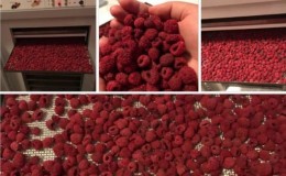 How long and how to dry raspberries in the oven and other electrical appliances correctly