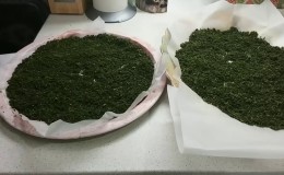 Step-by-step guide to fermenting currant leaves for tea at home