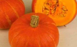 An orange-red variety of Hokkaido pumpkin with a nutty aroma and high content of vitamins and fiber.
